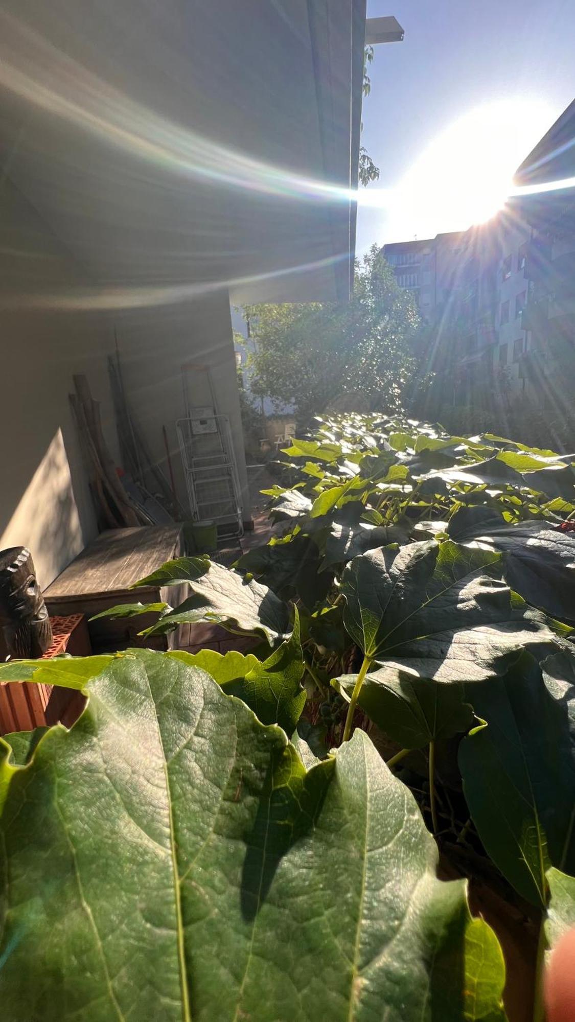 Garden Suite Bolzano Luaran gambar