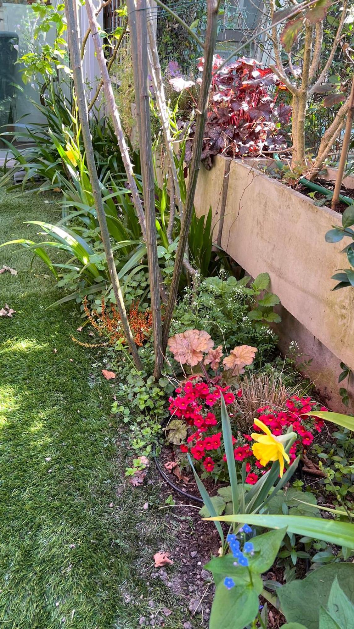 Garden Suite Bolzano Luaran gambar